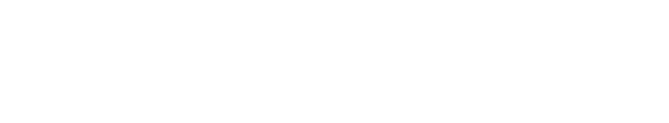 CONCISE
